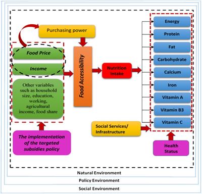 Geographical patterns of implementing a government subsidy program: implications for health outcomes and nutrient intake in Iran